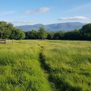 https://woodford-cottage-lake-view-guest-house-on-old-farm-with.hotel-killarney.com